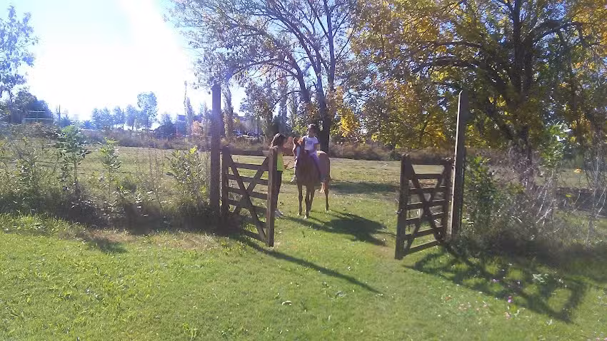 Estudio Graf Propiedades