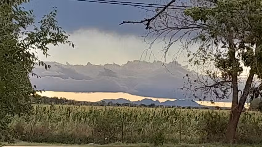 Estudio Integral Inmobiliario Aimale Mu&ntilde;oz