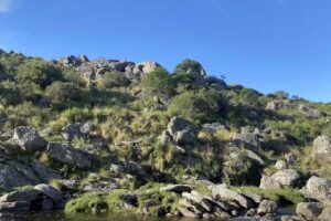 Estudio Juridico Inmobiliario Nievas Nievas