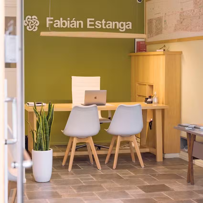 Fabi&aacute;n Estanga Negocios Inmobiliarios