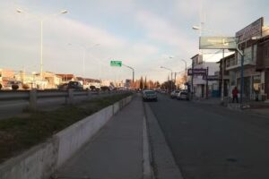 Fenicprop Propiedades