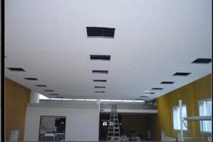 Fideicomiso emprendimiento Isabel