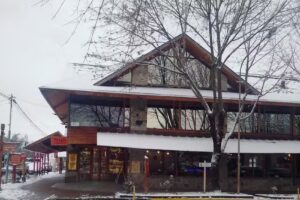 Finca Sur Gesti&oacute;n Inmobiliaria