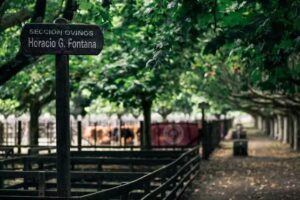 Fontana Consignatarios Campos y Haciendas