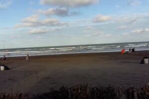 Fontana Garate Inmobiliaria Centro Integral de Negocios