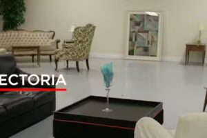 Francisco Organizaci&oacute;n Inmobiliaria