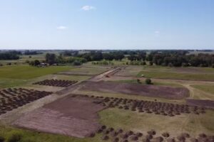 Franco L&oacute;pez Servicios Inmobiliarios