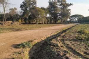 Fronda Escobar Barrio Poblar Desarrollos