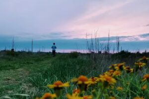 Funes Norte Pm Propiedades