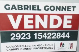 Gabriel Gonnet Propiedades