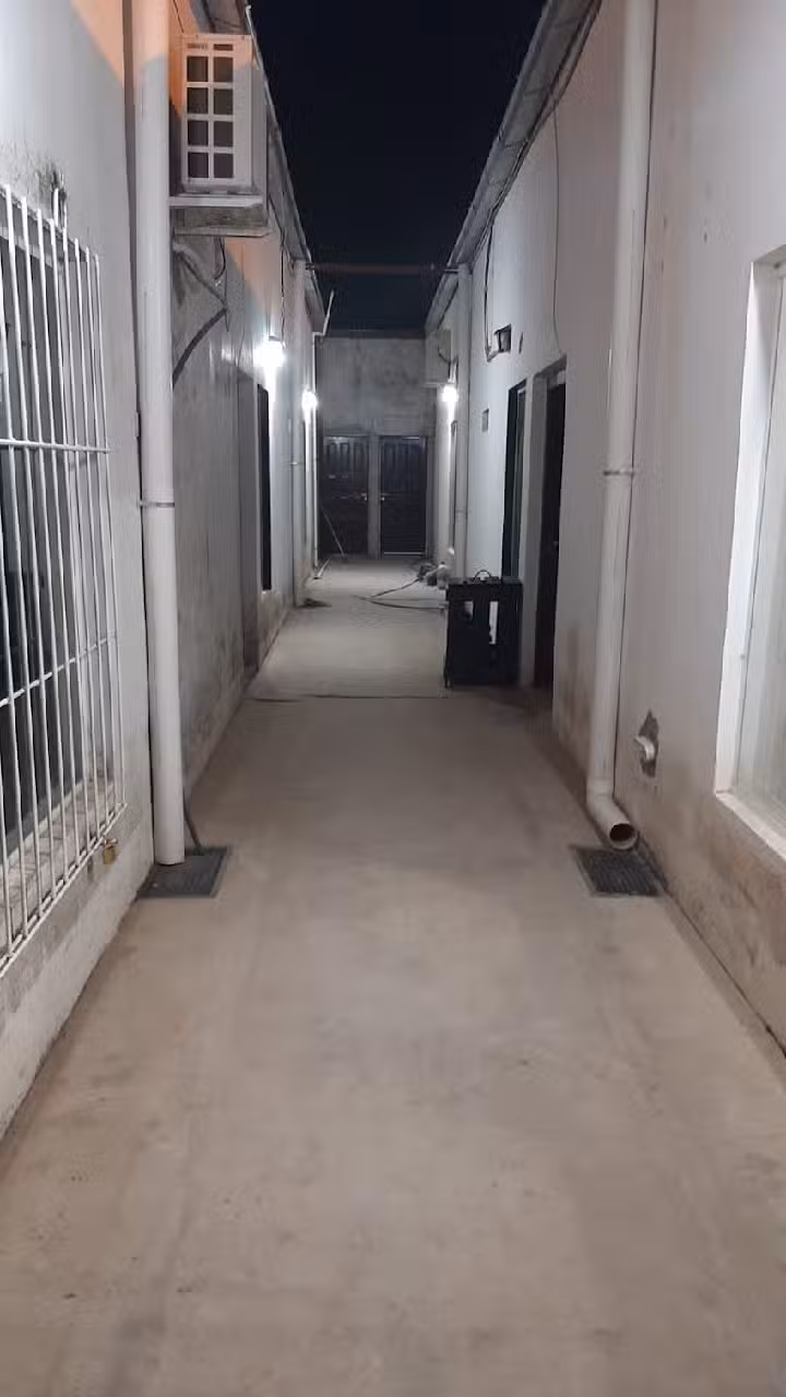 Galer&iacute;a Leones