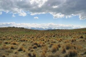 Germanier Propiedades