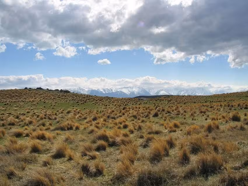 Germanier Propiedades
