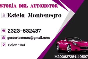 Gestoría del Automotor Inmobiliaria Estela M Montenegro