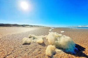 Gianini Mar de las Pampas