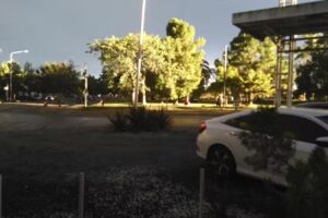 Gilda Lucchelli Negocios Inmobiliarios