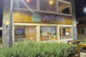 Giselle Acosta Propiedades