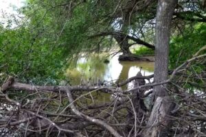 Grupo Vaccaro Bragado Y Asoc