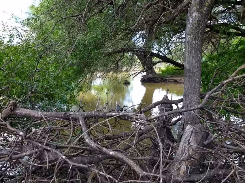 Grupo Vaccaro Bragado Y Asoc