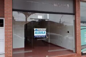 Guidek Stasiuk Propiedades