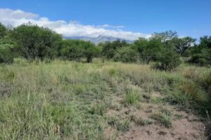 Gutierrez Palma Servicios Inmobiliarios