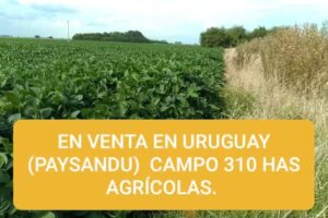 Hourcade Propiedades