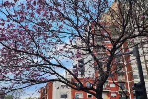 Ilievduraes Propiedades