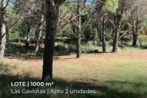 Inmobiliaria Ale Tellechea