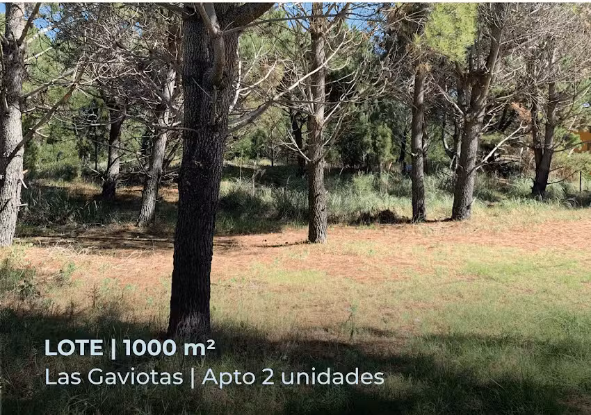 Inmobiliaria Ale Tellechea