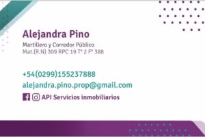 Inmobiliaria Api Servicios Inmobiliarios