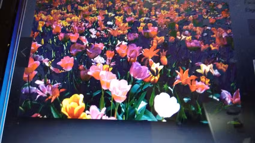 Inmobiliaria Battini