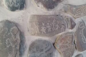 Inmobiliaria Bonfanti