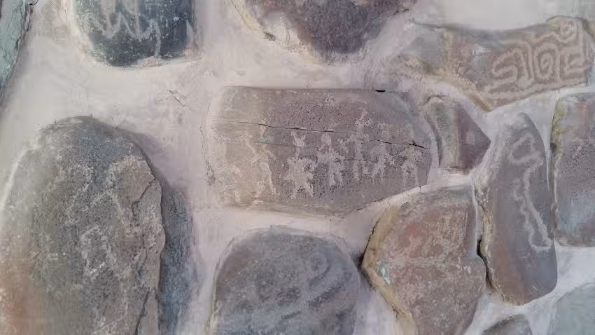 Inmobiliaria Bonfanti