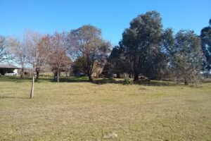 Inmobiliaria Cabrera Marcia