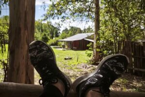 Inmobiliaria Celeste Carrillo