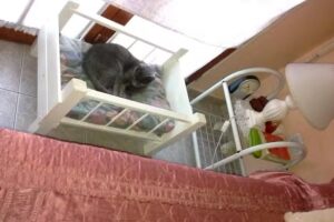 Inmobiliaria Chavier Operaciones en Bienes Raices