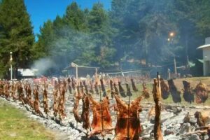 Inmobiliaria Cholila