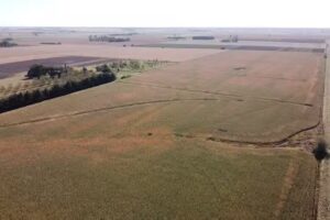 Inmobiliaria Churruarin