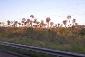 Inmobiliaria Crettaz