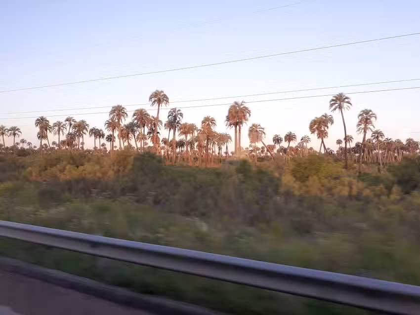 Inmobiliaria Crettaz