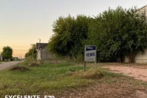 Inmobiliaria Del Castillo