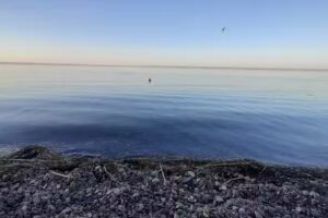 Inmobiliaria en Cinco Saltos Patricia Cuello