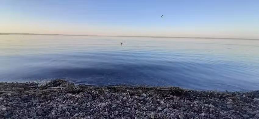 Inmobiliaria en Cinco Saltos Patricia Cuello