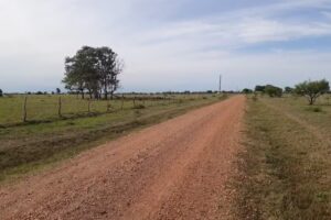 Inmobiliaria Ernesto Reggi