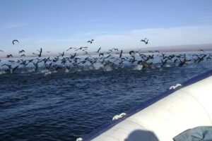 Inmobiliaria Espacio