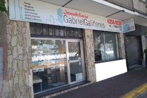 Inmobiliaria Gabriel Gali&ntilde;anes