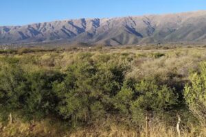 Inmobiliaria Gisela Vava