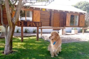 Inmobiliaria Gojenola