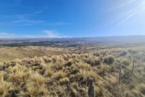 Inmobiliaria Grupo Del Valle Lotes en Calamuchita