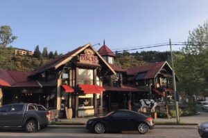 Inmobiliaria Huiliches